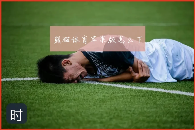熊猫体育苹果版怎么下